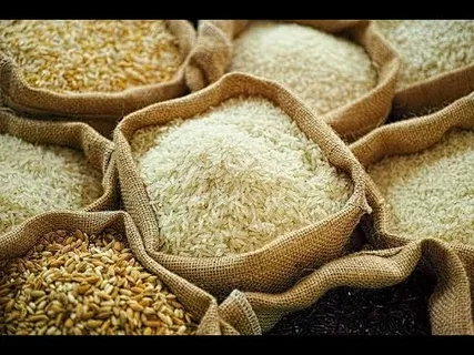 تصویر 4 از قیمت خرید برنج شمشیری ندا با فروش عمده